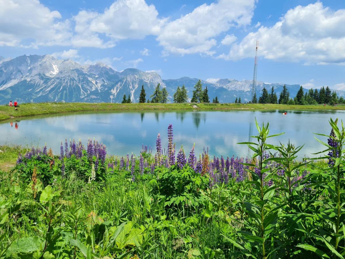 Bright Side Of Life - Schladming Am Sonnenhang Exterior foto